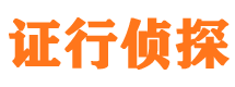 镇沅市私家侦探